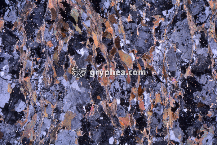 Gneiss LPA x3,5 - gryphea.com